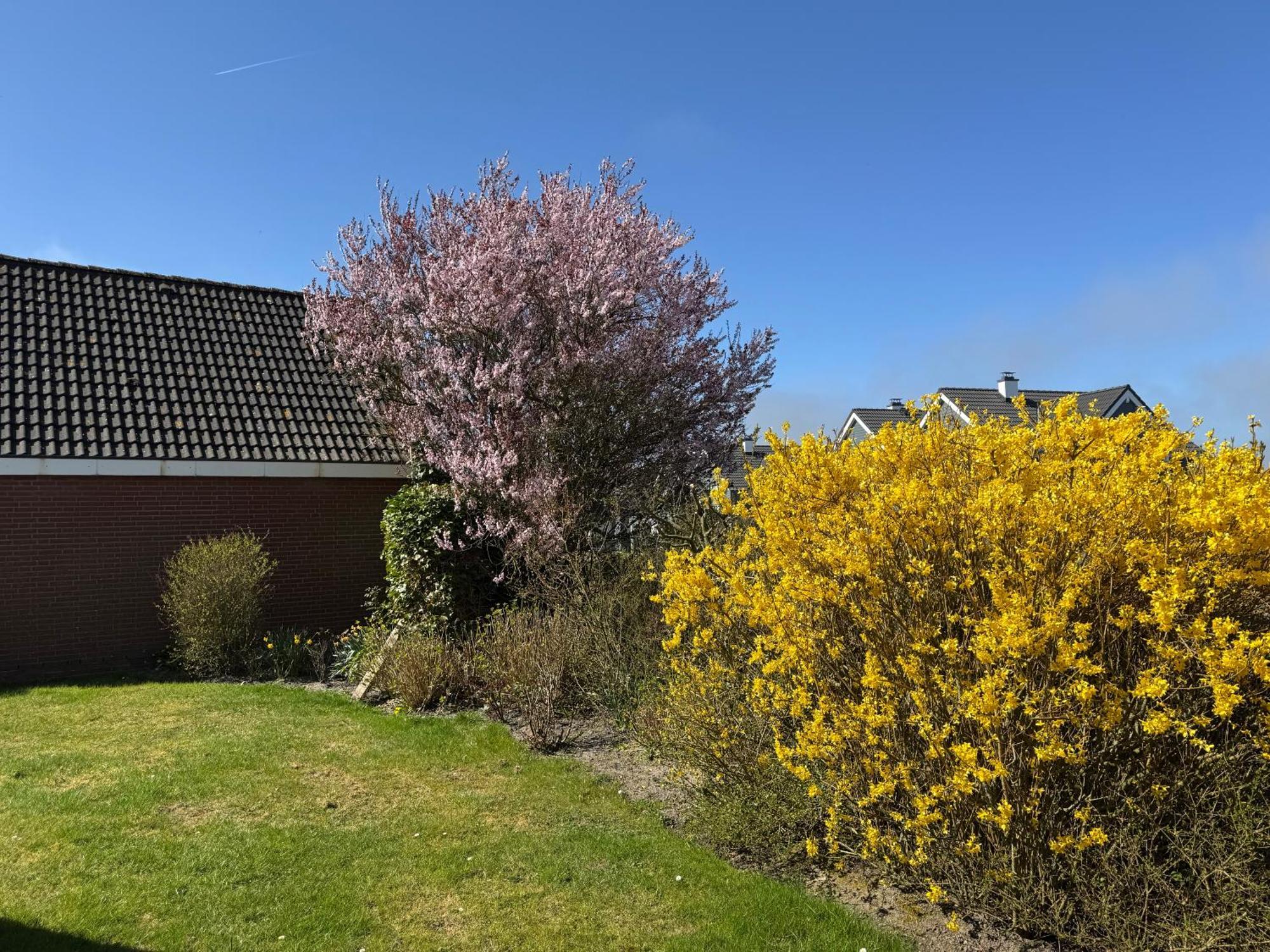 Haus Nordstrand Büsum Δωμάτιο φωτογραφία